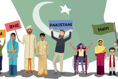 Hum Bhe Pakistani Hain – Trailer