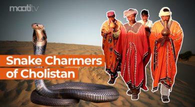 snake charmers of cholistan