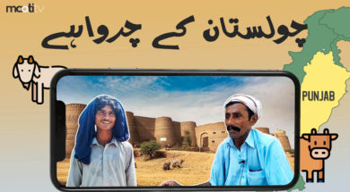 Maati TV The Shepherd Community of Cholistan